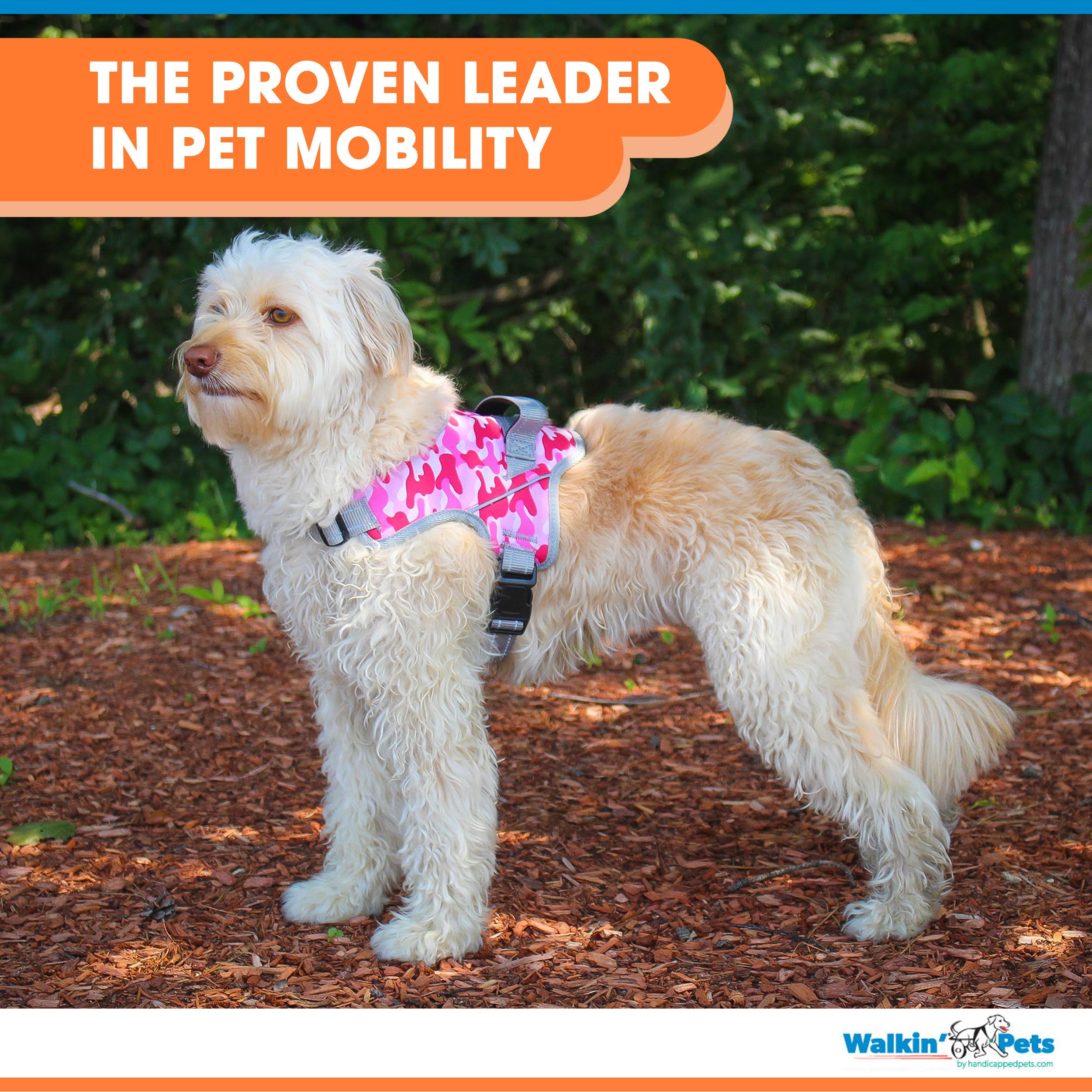 Reflective Nylon No Pull Dog Harness with Adjustable Straps S57207