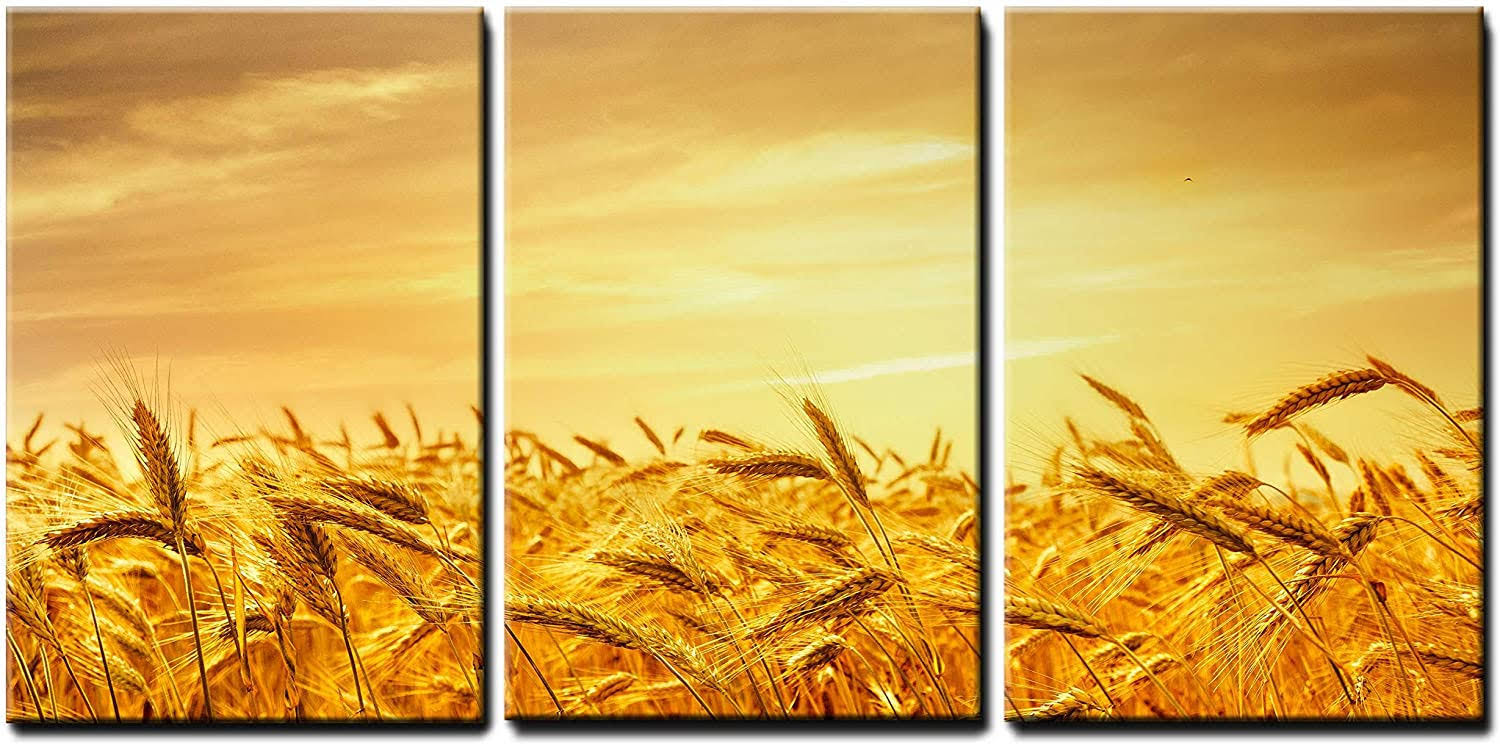 Orange X3 Panels Wall Art U306