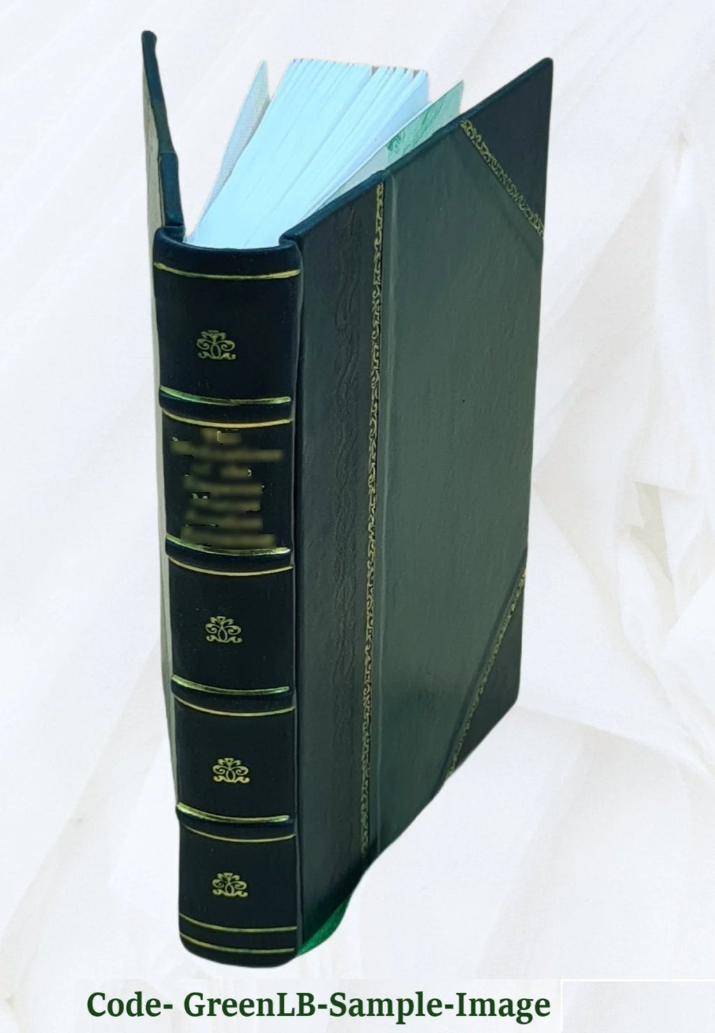 Ralph Ryder of Brent; a novel 1892 [Leather Bound] M95406