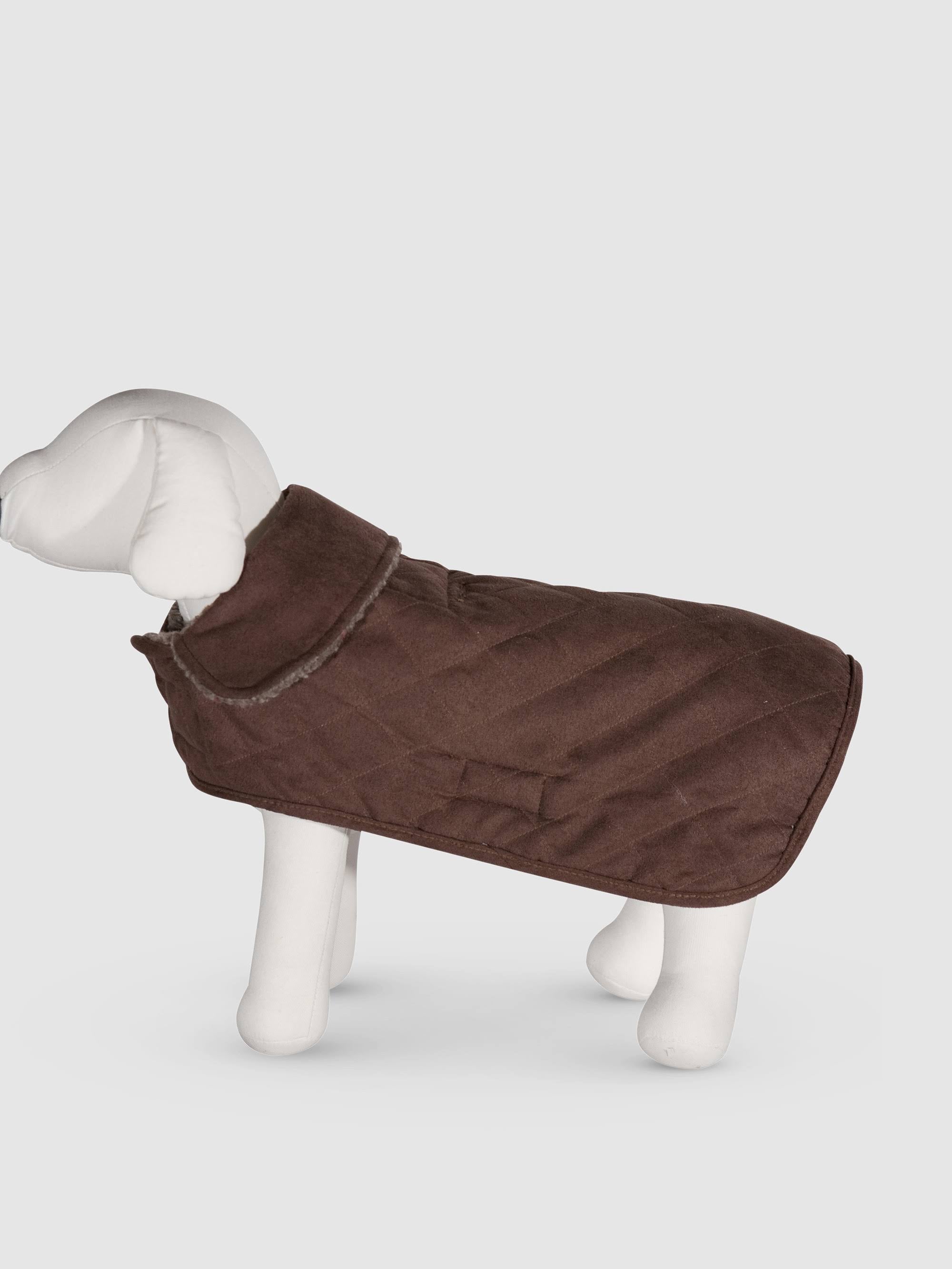 Umber Dog Coat P308563