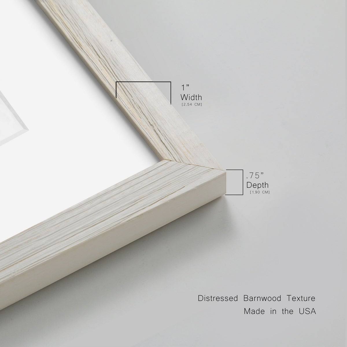Framed Print 27.5X37.5 White S7945