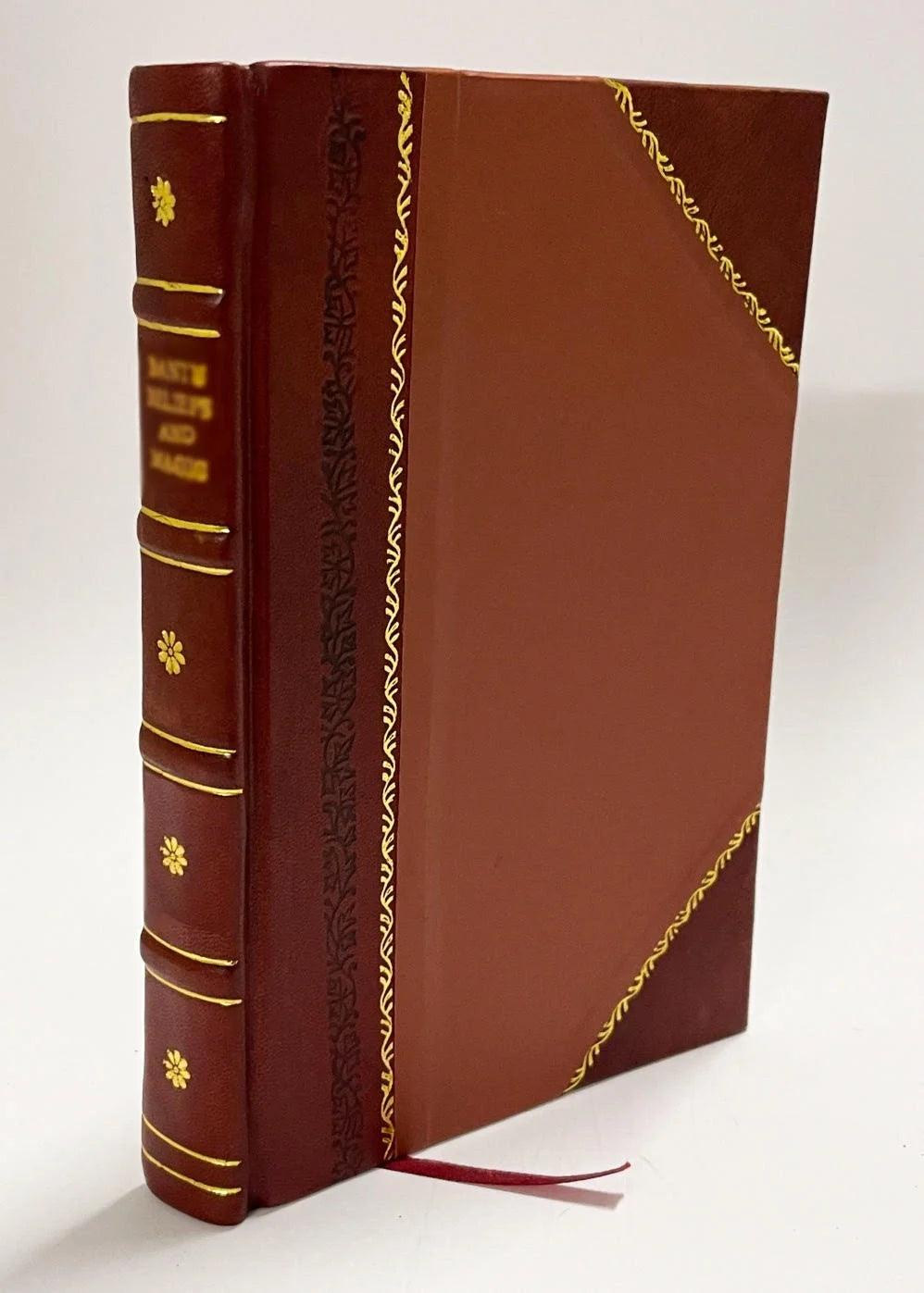 Leather Bound Essays on Insanity D104625