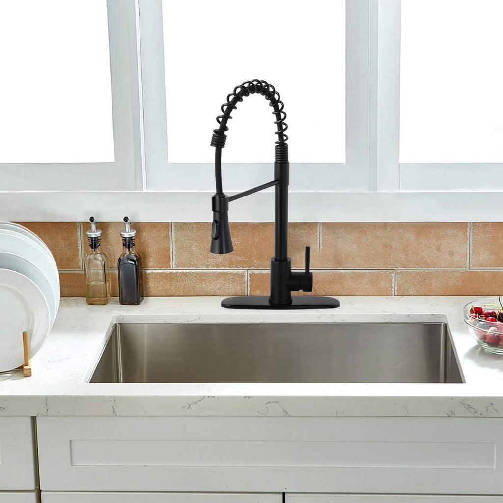 Black Kitchen Sink Faucet with Deck Plate V5947