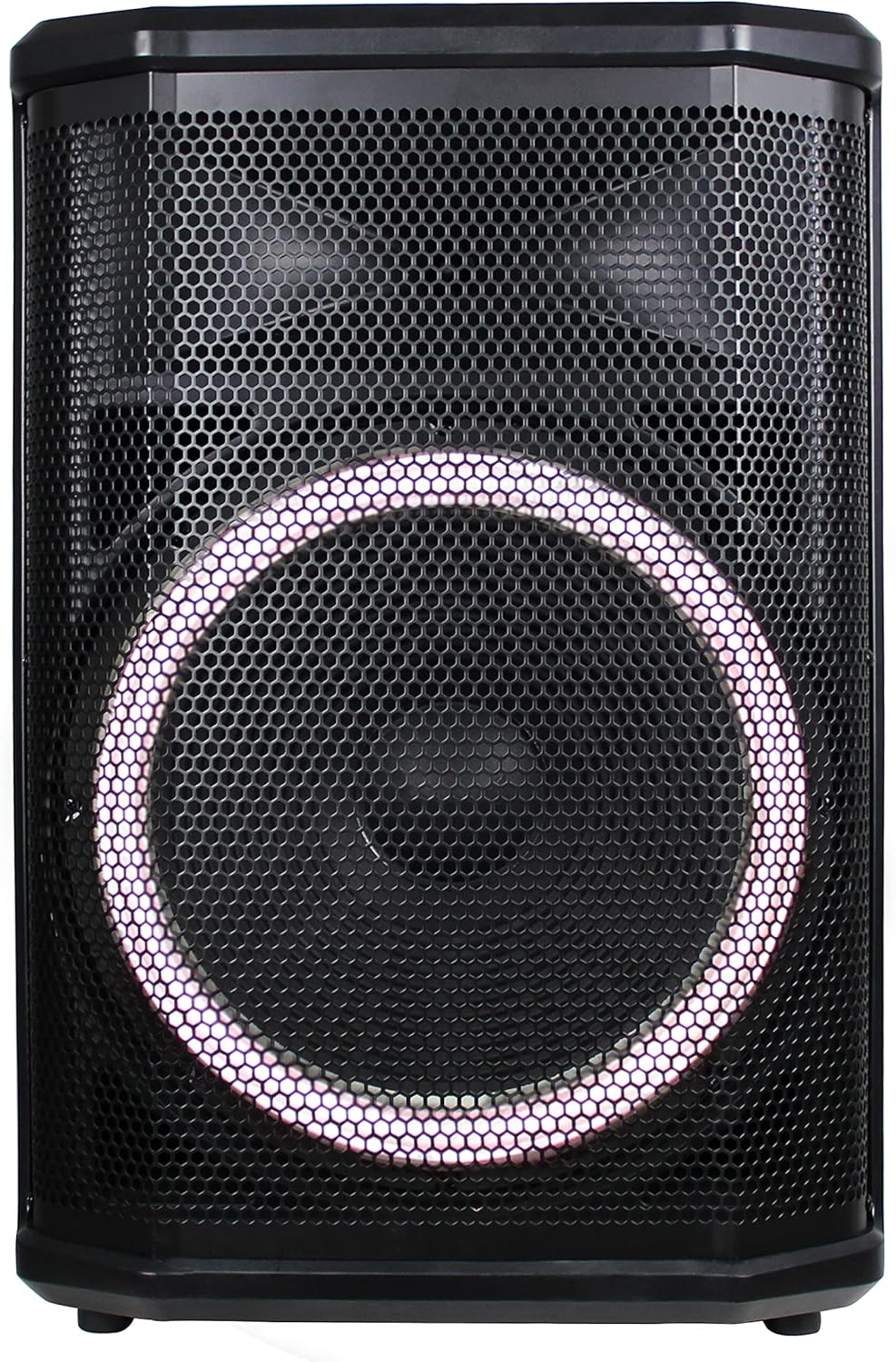 Portable Bluetooth Karaoke DJ Speaker with Remote Control and LED Light Show, 12", 2600 Watts L266