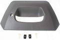 Textured Gray Plastic Tailgate Handle Bezel Pack of 2 Q516919