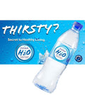 24 Pc 20.28 Oz Mineral Water V711348