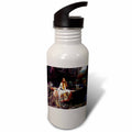 21 oz Sports Water Bottle N115541
