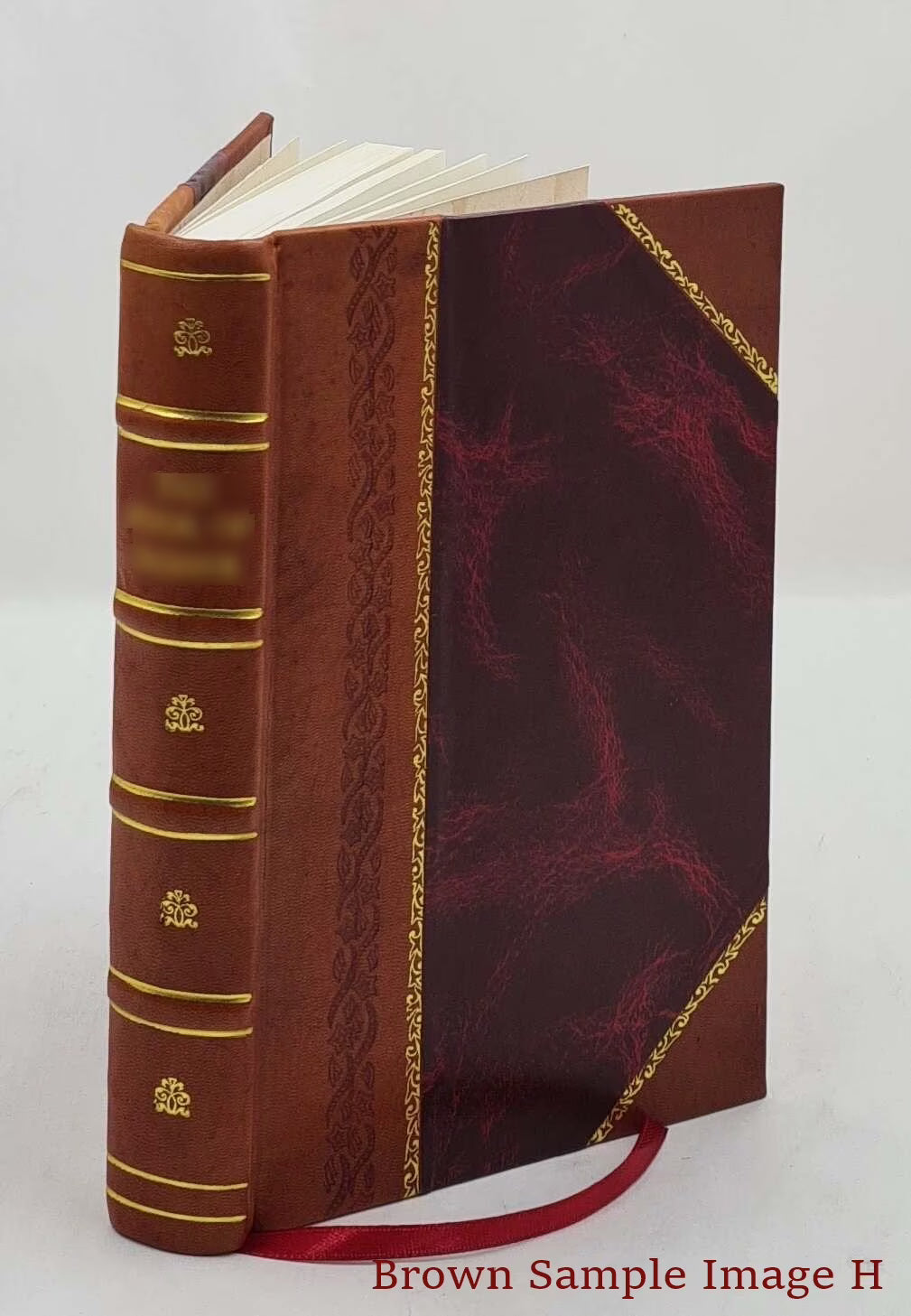 The Life of Cornelia Connelly, 1809-1879 T902