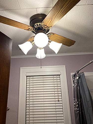 Set of 4 Clear & Frosted Glass Ceiling Fan Light Covers, 2-1/8" Fitter Size, 4-4/5" high x 5" Diameter O27701