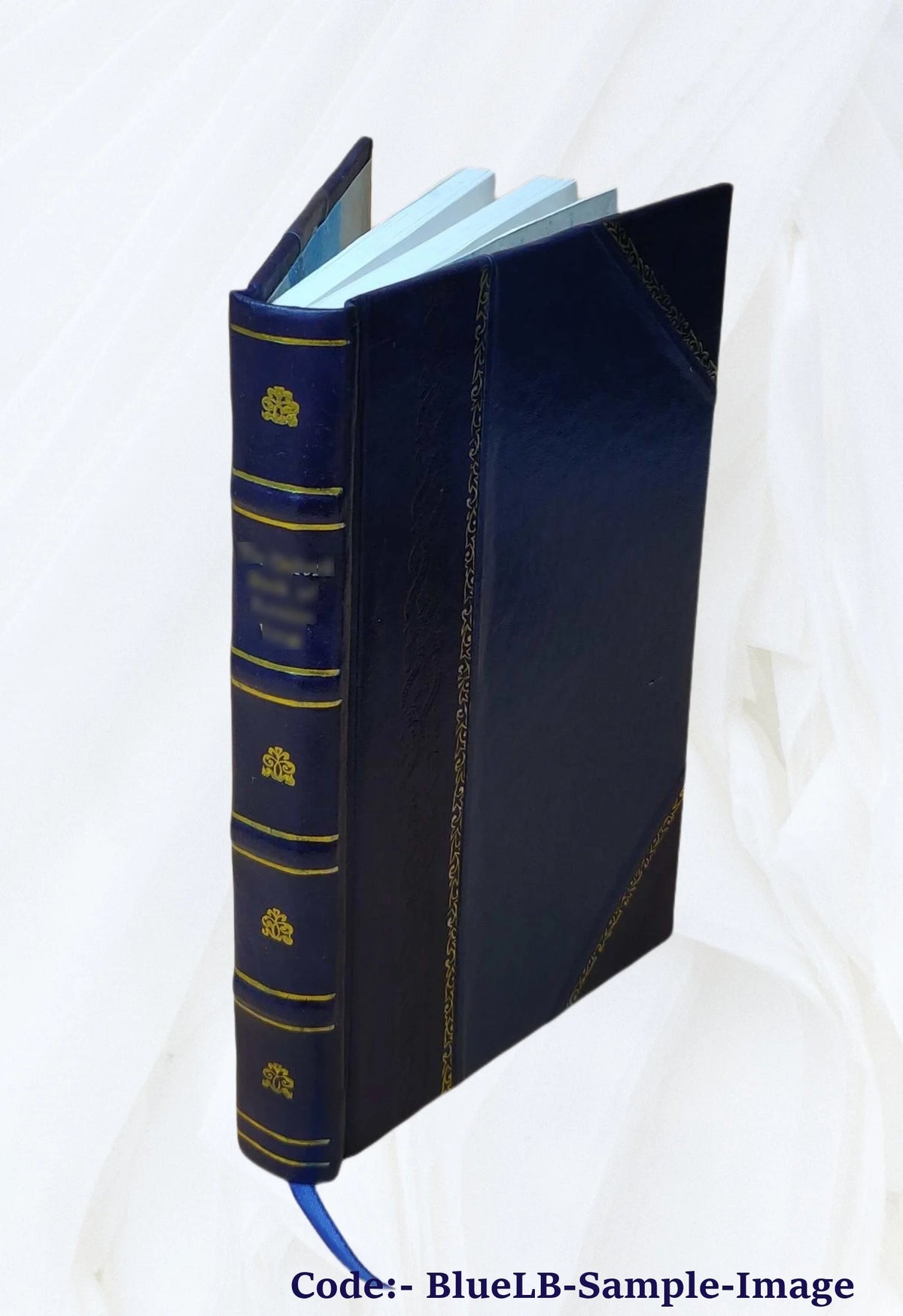 Ralph Ryder of Brent; a novel 1892 [Leather Bound] M95406