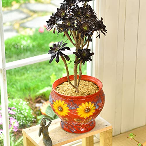 9 Inch Hand Painted Ceramic Planter Pot with Drainage Hole Y320