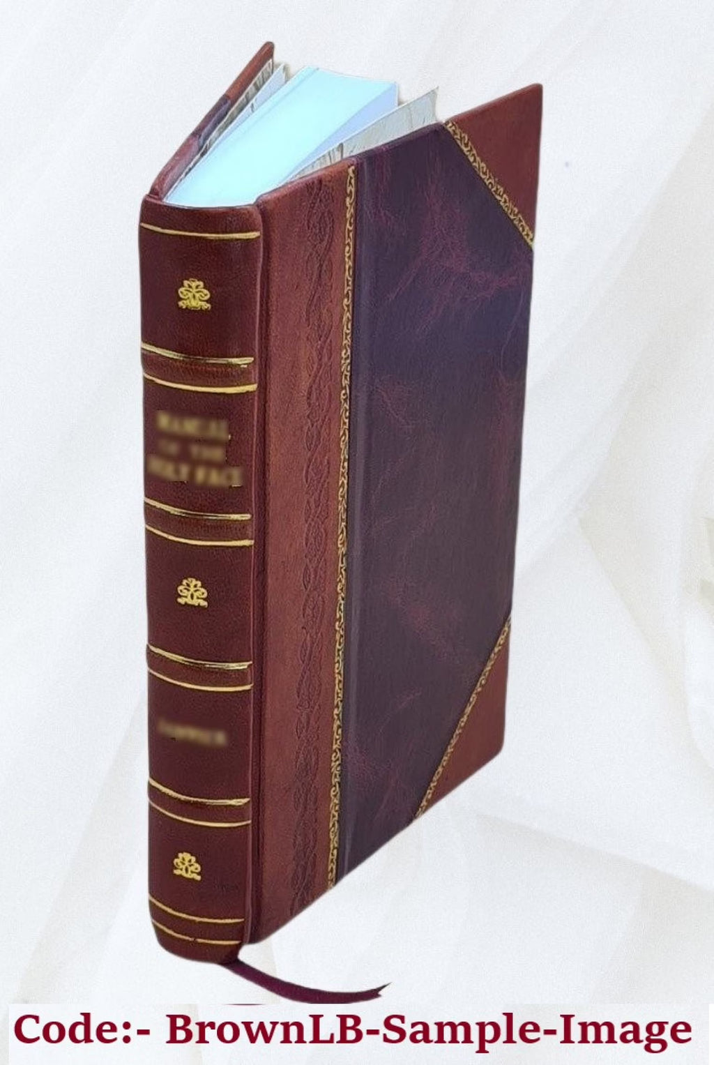 Ralph Ryder of Brent; a novel 1892 [Leather Bound] M95406