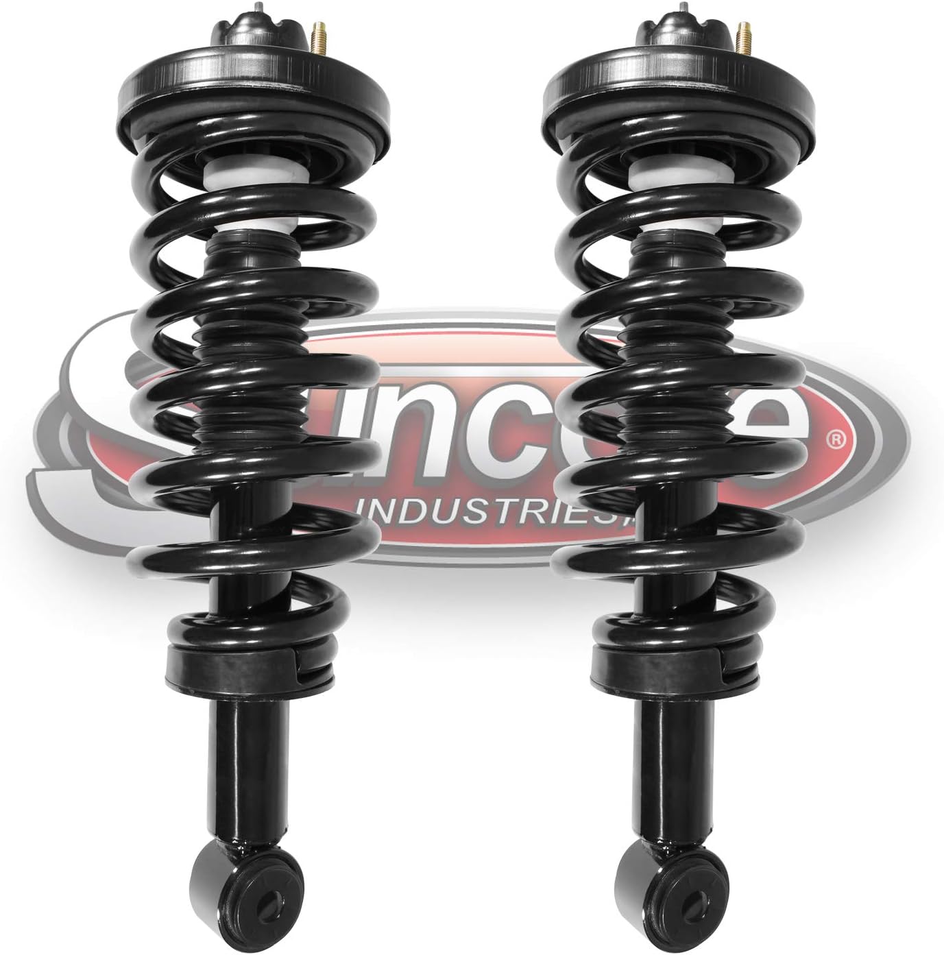 Rear Air Suspension to Complete Struts Conversion Kit for 2003-2006 Lincoln Navigator D394681