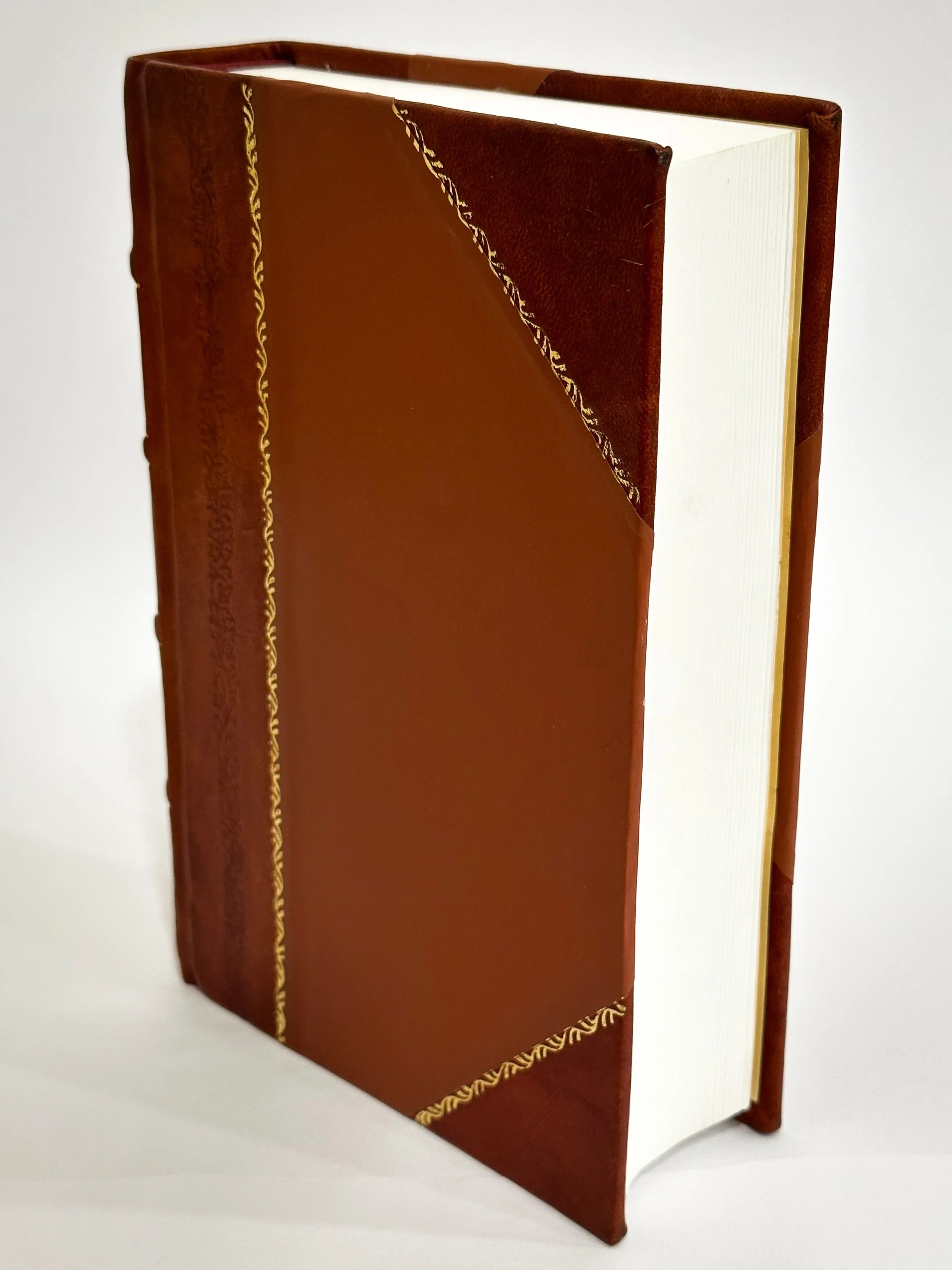 Leather Bound Book N395