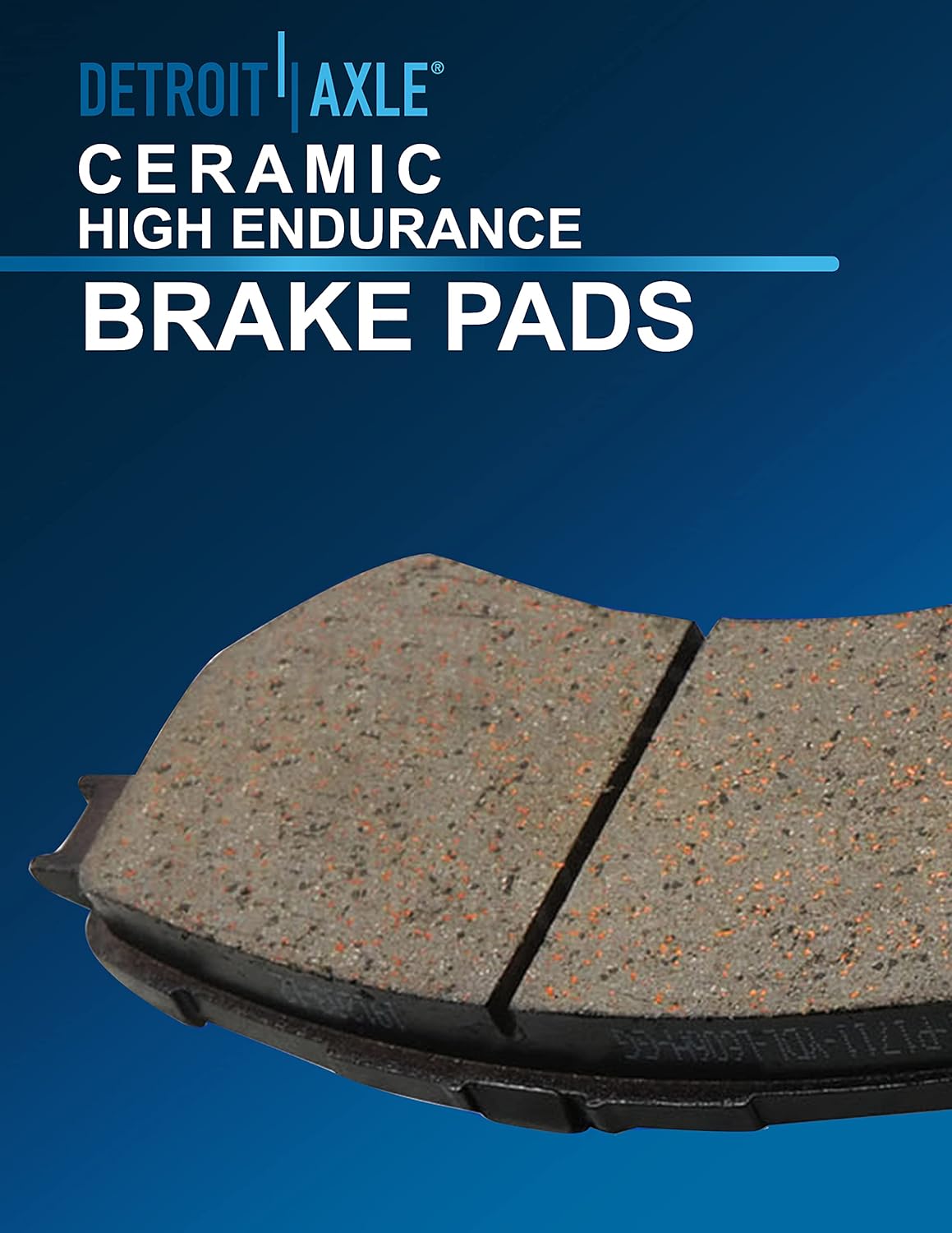 Rear Disc Rotors + Brake Pads 6pc Set V170