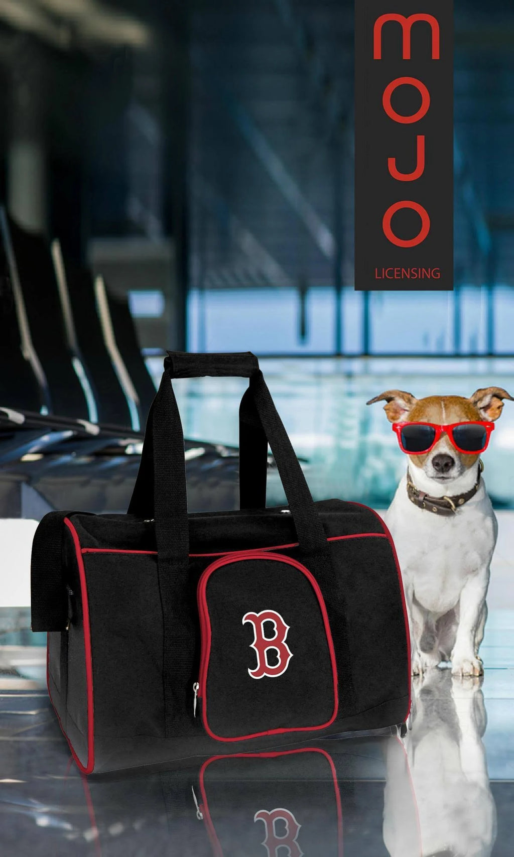 Premium Pet Carrier E524