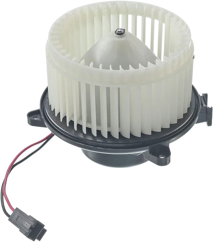 Heater Blower Motor with Fan Cage Pack of 2 G622