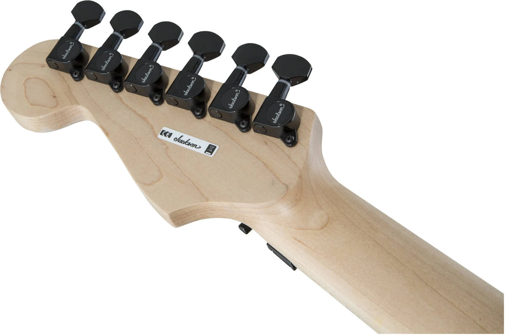 Snow White Signature Electric Guitar C4721