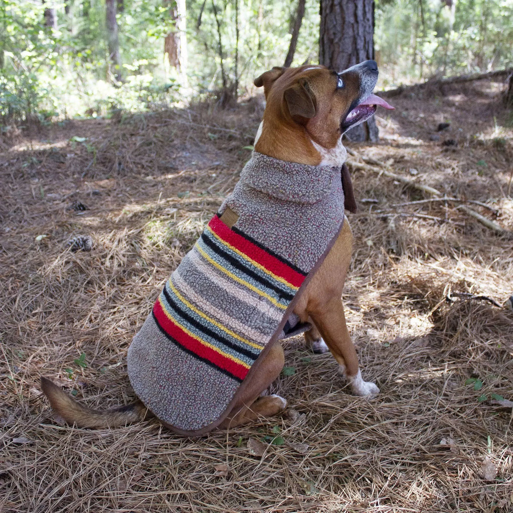 Umber Dog Coat P308563