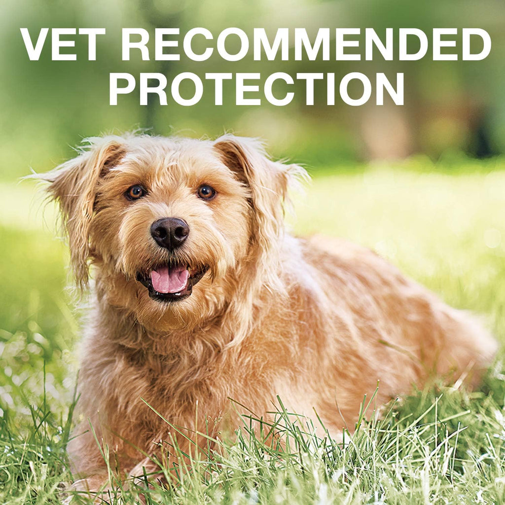 K9 Advantix II Flea and Tick Prevention 1-Pack 4 Monthly Doses Pack of 2 Q269169
