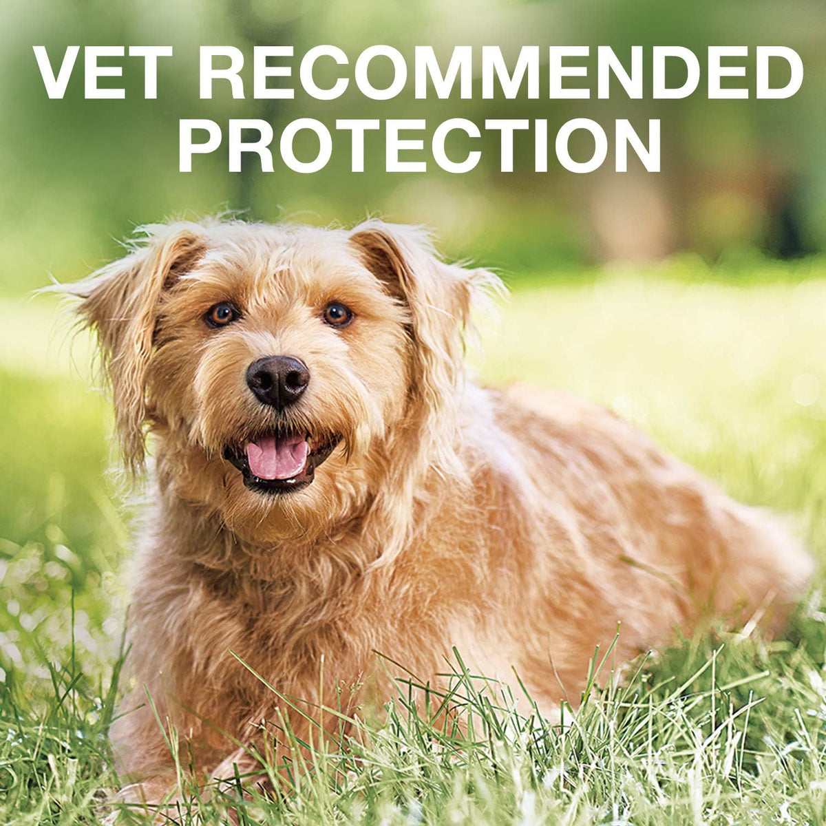 K9 Advantix II Flea and Tick Prevention 1-Pack 4 Monthly Doses Pack of 2 Q269169