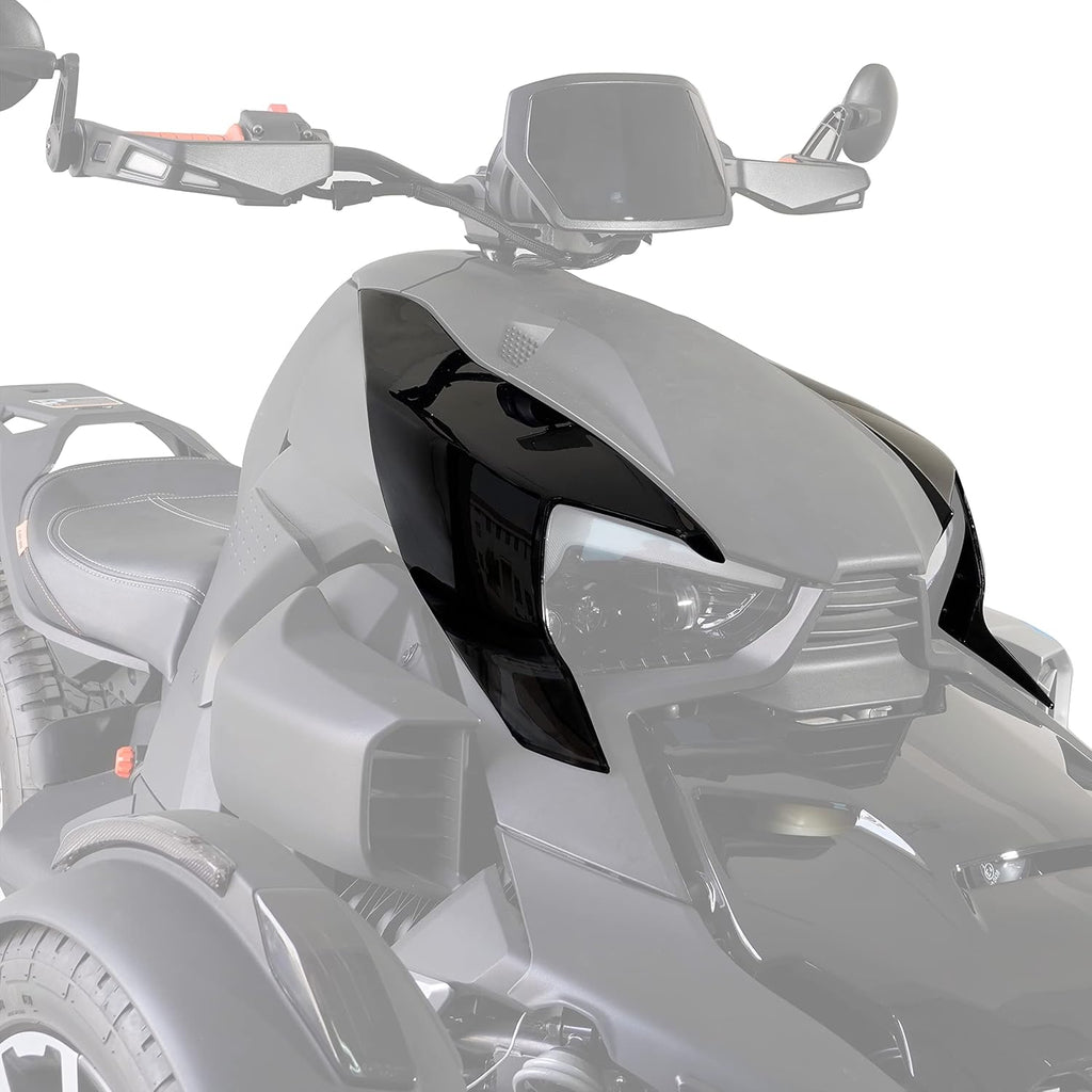 Carbon Fiber Pattern Fairing Panels (2PCS) W15268
