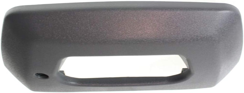 Textured Gray Plastic Tailgate Handle Bezel Pack of 2 Q516919