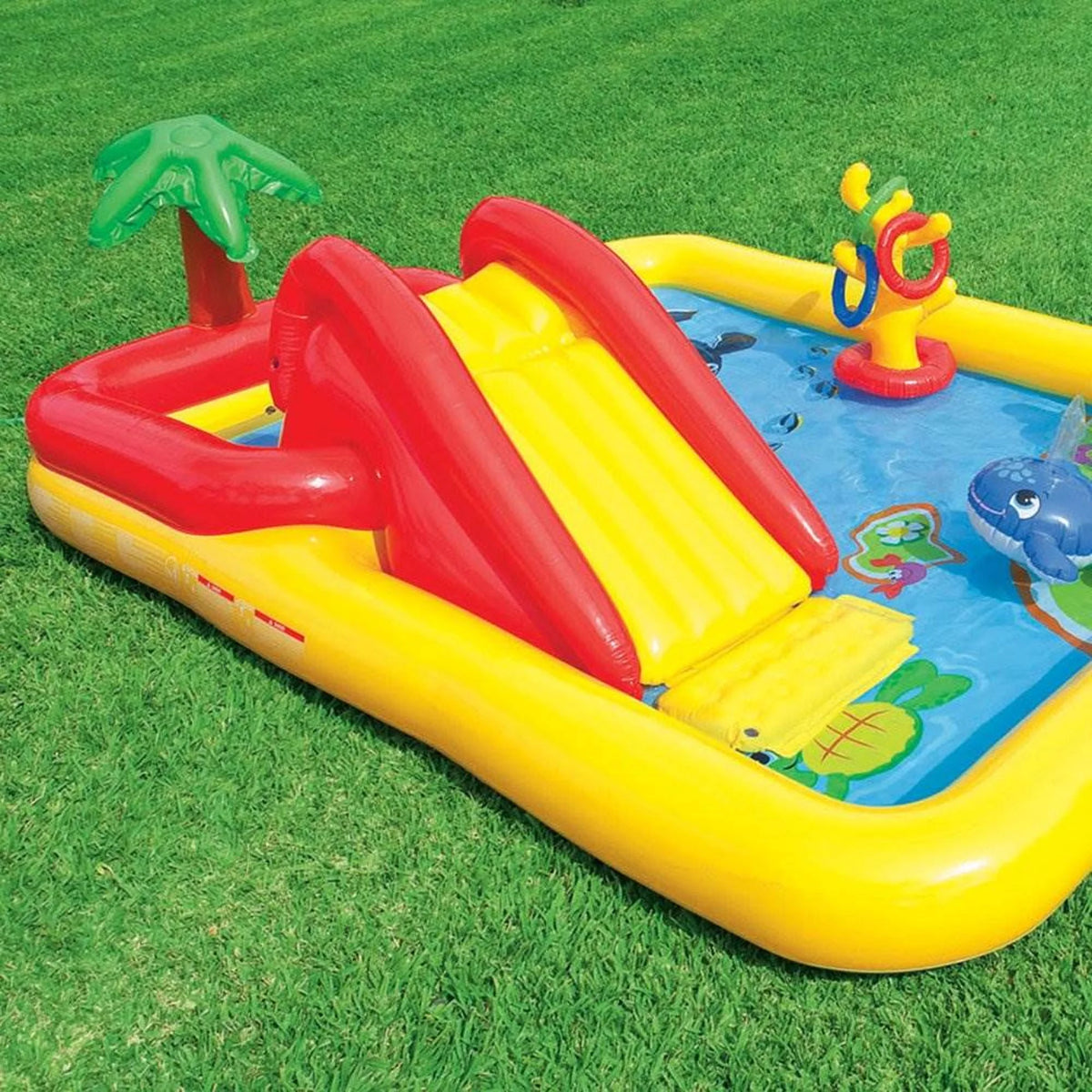 Inflatable Kiddie Pool C539