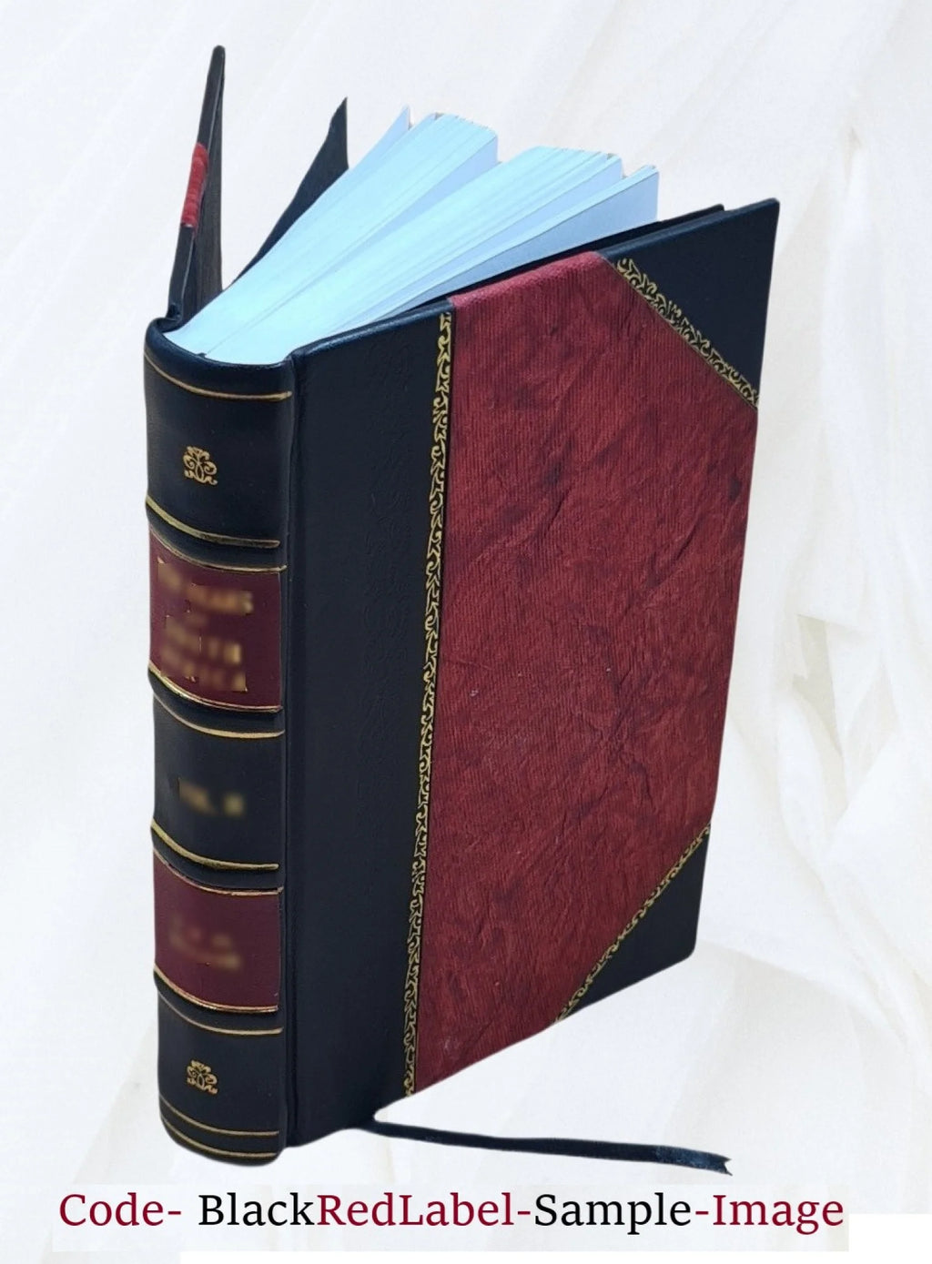The Life of Cornelia Connelly, 1809-1879 T902