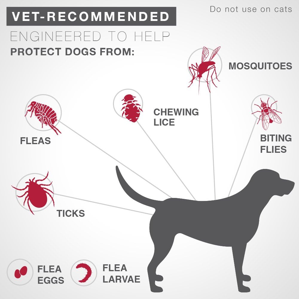 K9 Advantix II Flea and Tick Prevention 1-Pack 4 Monthly Doses Pack of 2 Q269169