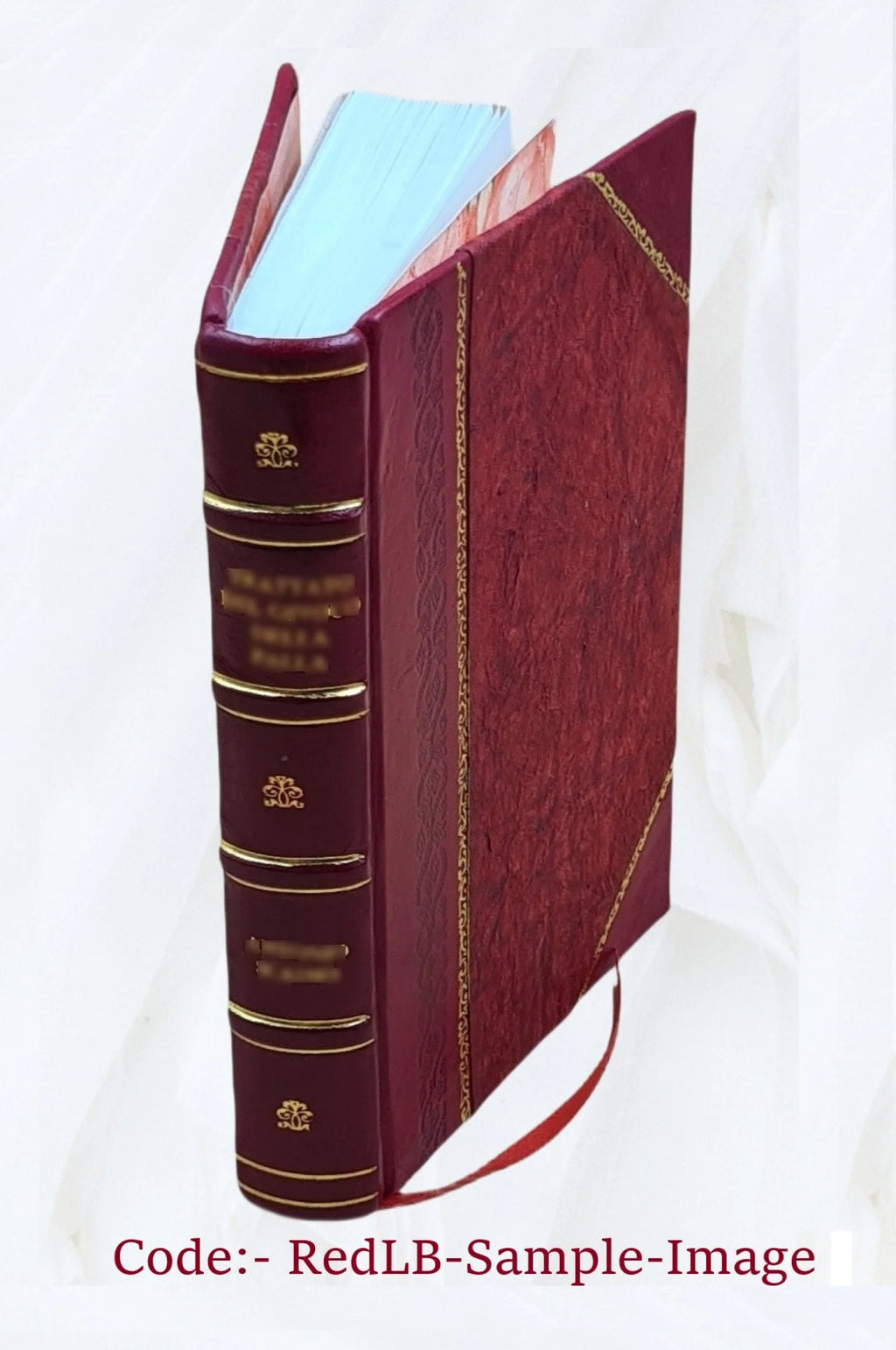 Ralph Ryder of Brent; a novel 1892 [Leather Bound] M95406